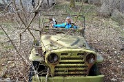 40 Jeep militare d'altri tempi 